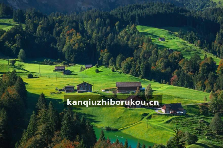 看球直播 体育资讯与赛事分析场景